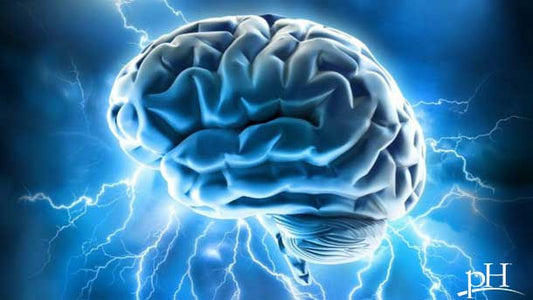 Vitamin B12 Keep Your Brain Sharp at Any Age