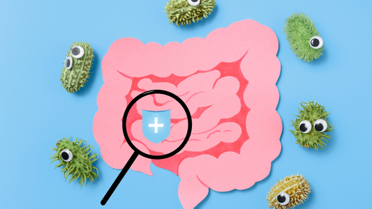 Vitamin B12 and Gut Health: Absorption and Microbiome Influence