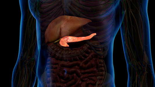 Vitamin B12 and Genetic Factors: Individual Variances in Metabolism