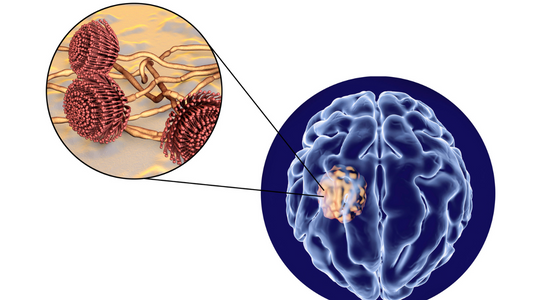 Vitamin B12 and Neurological Disorders: Investigating Protective Effects