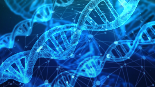 Vitamin B12: The Essential Nutrient for DNA Synthesis