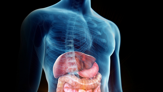 Vitamin B12 and Gastrointestinal Disorders: Considerations for Absorption