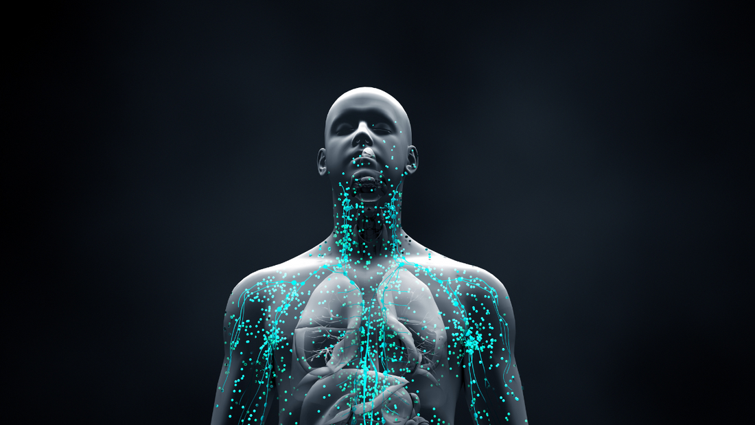 Defending Your Health: The Surprising Ways Vitamin B12 Boosts Your Immune System