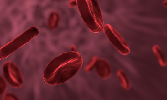 Vitamin B12: The Red Blood Cell-Boosting Nutrient